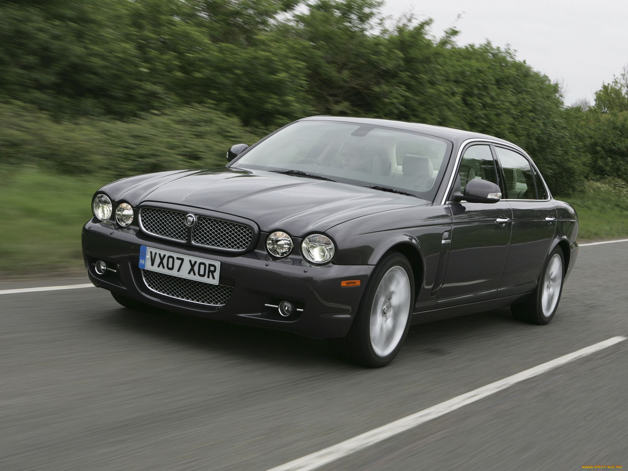 , jaguar